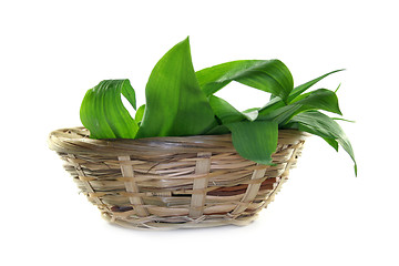 Image showing Wild garlic