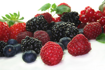 Image showing Berries