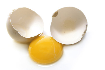 Image showing raw egg