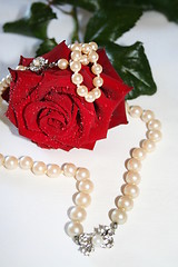 Image showing Pearl-necklaces and red rose