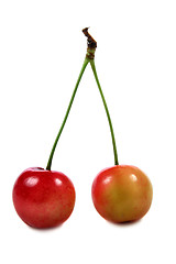 Image showing Cherries