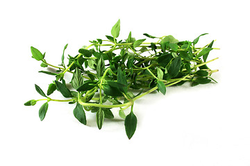 Image showing Thyme