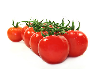 Image showing Tomatoes