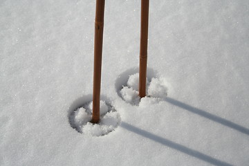 Image showing Ski sticks