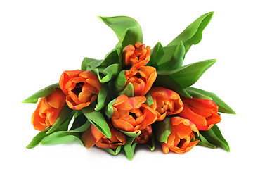 Image showing Tulip bouquet