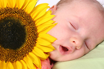 Image showing Baby in dreamland