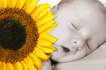 Image showing Baby in dreamland