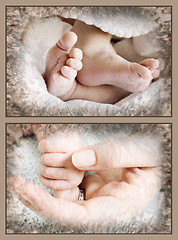 Image showing Baby feet and hand