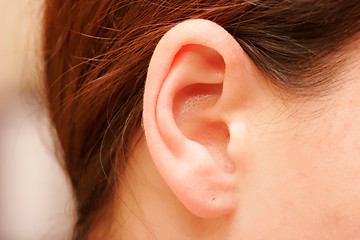 Image showing ear