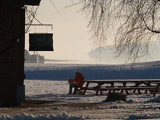 Image showing Frozen Newspaper Reader