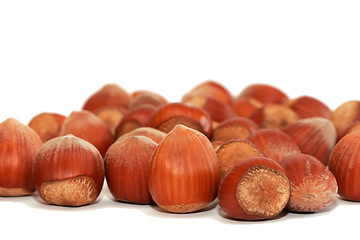 Image showing hazelnuts