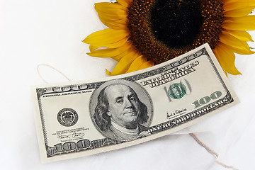 Image showing $100 bill and a yellow sunflower