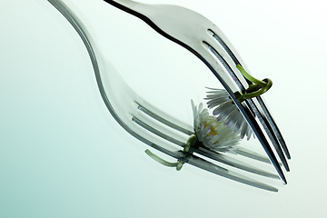 Image showing Steel Fork and flower