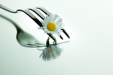 Image showing Steel Fork and flower