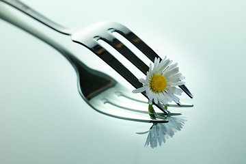 Image showing Steel Fork and flower