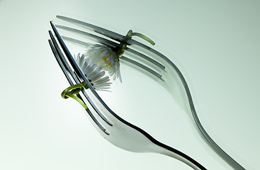 Image showing Steel Fork and flower