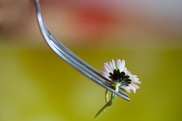 Image showing Steel Fork and flower