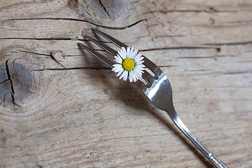 Image showing Steel Fork and flower