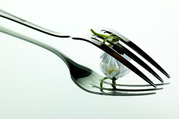 Image showing Steel Fork and flower