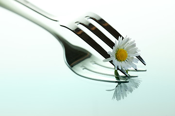 Image showing Steel Fork and flower