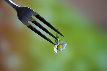 Image showing Steel Fork and flower