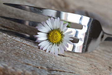 Image showing Steel Fork and flower