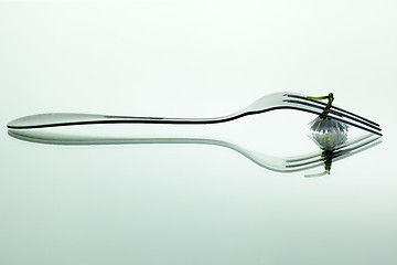 Image showing Steel Fork and flower