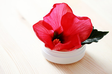 Image showing hibiscus face cream