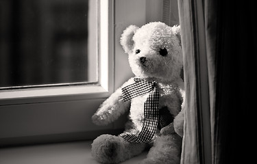 Image showing Toy bear