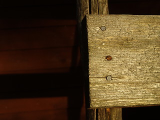 Image showing woods detail