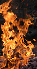 Image showing Flame, fire