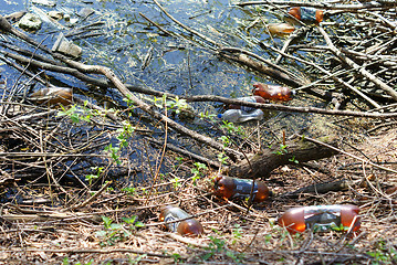 Image showing lake pollution