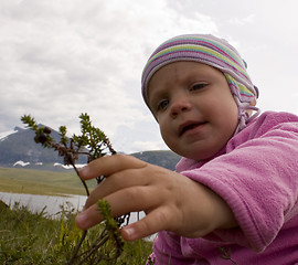 Image showing Child picking berries