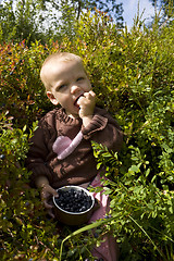 Image showing Child eating berries