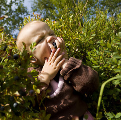 Image showing Child eating berries