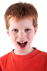 Image showing Cute Boy, screaming, isolated on white background, studio shot