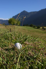 Image showing Golf Ball on Course