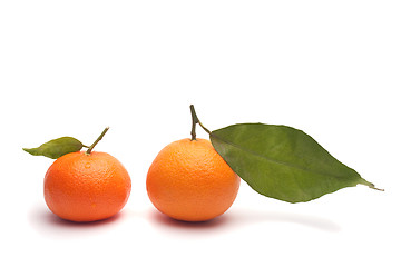 Image showing tangerines