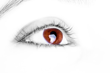 Image showing Great big  brown eye