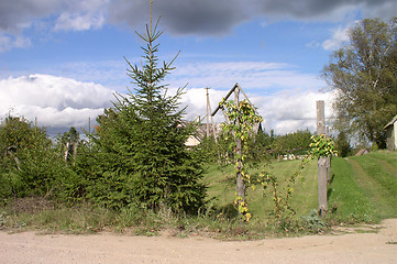 Image showing Rural Landscape