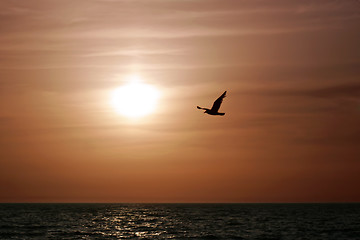 Image showing Sunset at the sea 