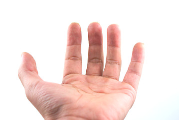 Image showing Hand Gesture - Holding