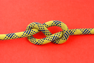 Image showing FIGURE-EIGHT KNOT