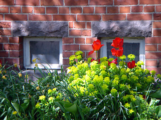 Image showing Flowers on a background of a brick wall