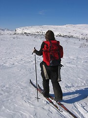 Image showing Young girl skiing