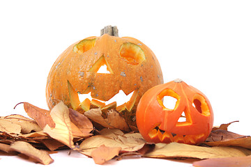 Image showing halloween pumkins 