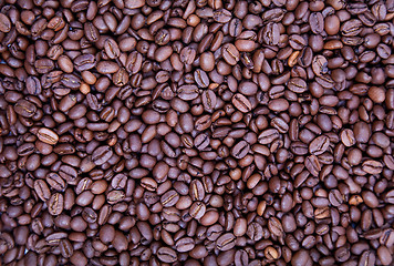 Image showing Coffee beans