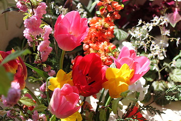 Image showing tulips