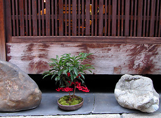 Image showing Gion Arrangement