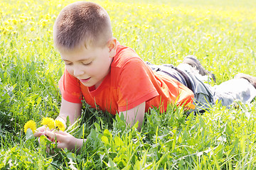 Image showing Boy on meadow grass